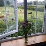 Nellies