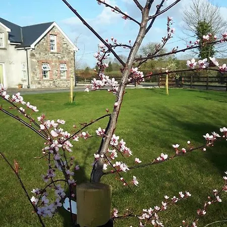 Bed & Breakfast Nellies Kilcogy