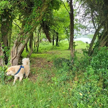 Bed & Breakfast Nellies