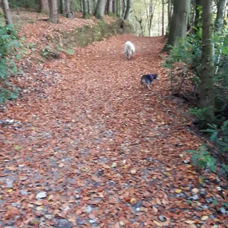 Nellies Bed & Breakfast