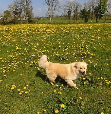 Bed & Breakfast Nellies Kilcogy